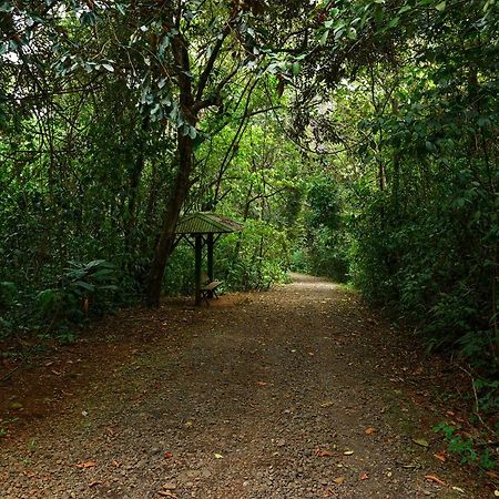 Florencia Tree Houses Hotel Costa Rica מראה חיצוני תמונה