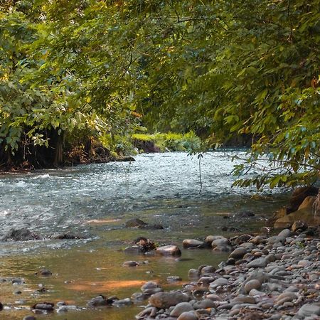 Florencia Tree Houses Hotel Costa Rica מראה חיצוני תמונה