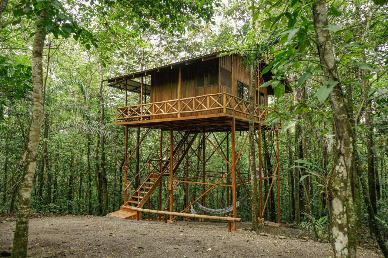 Florencia Tree Houses Hotel Costa Rica מראה חיצוני תמונה