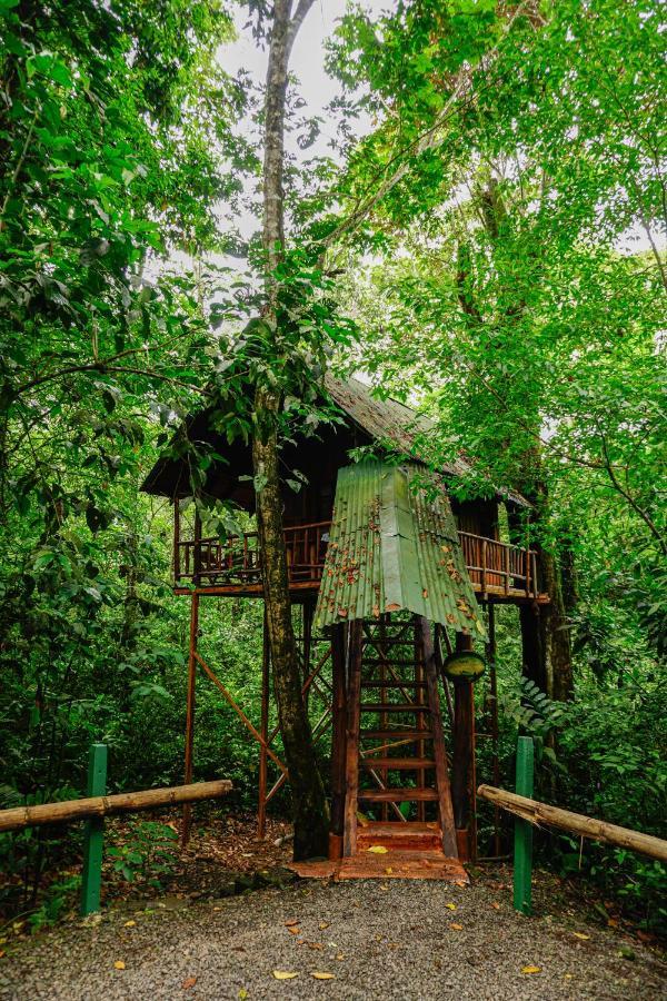 Florencia Tree Houses Hotel Costa Rica מראה חיצוני תמונה