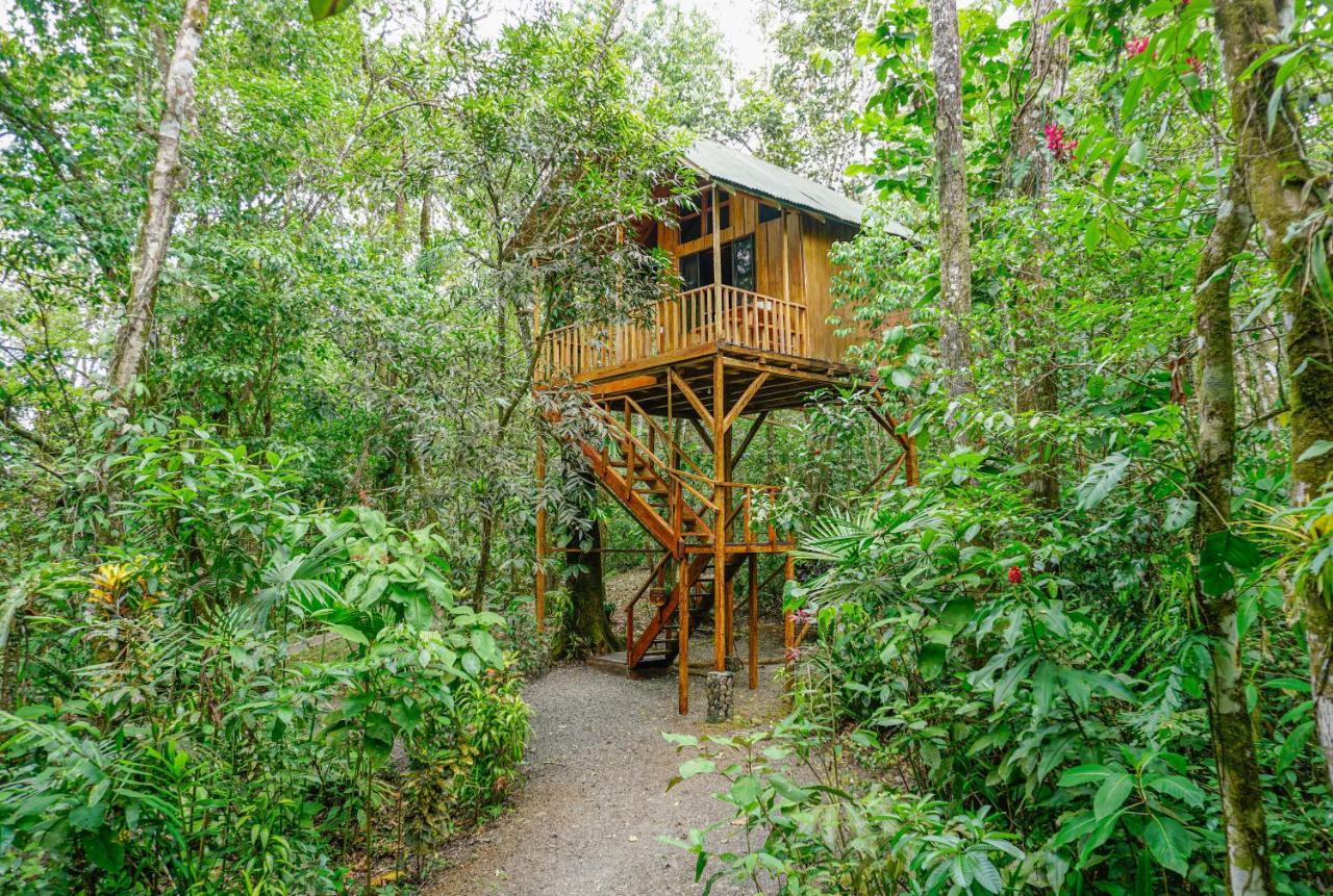 Florencia Tree Houses Hotel Costa Rica מראה חיצוני תמונה