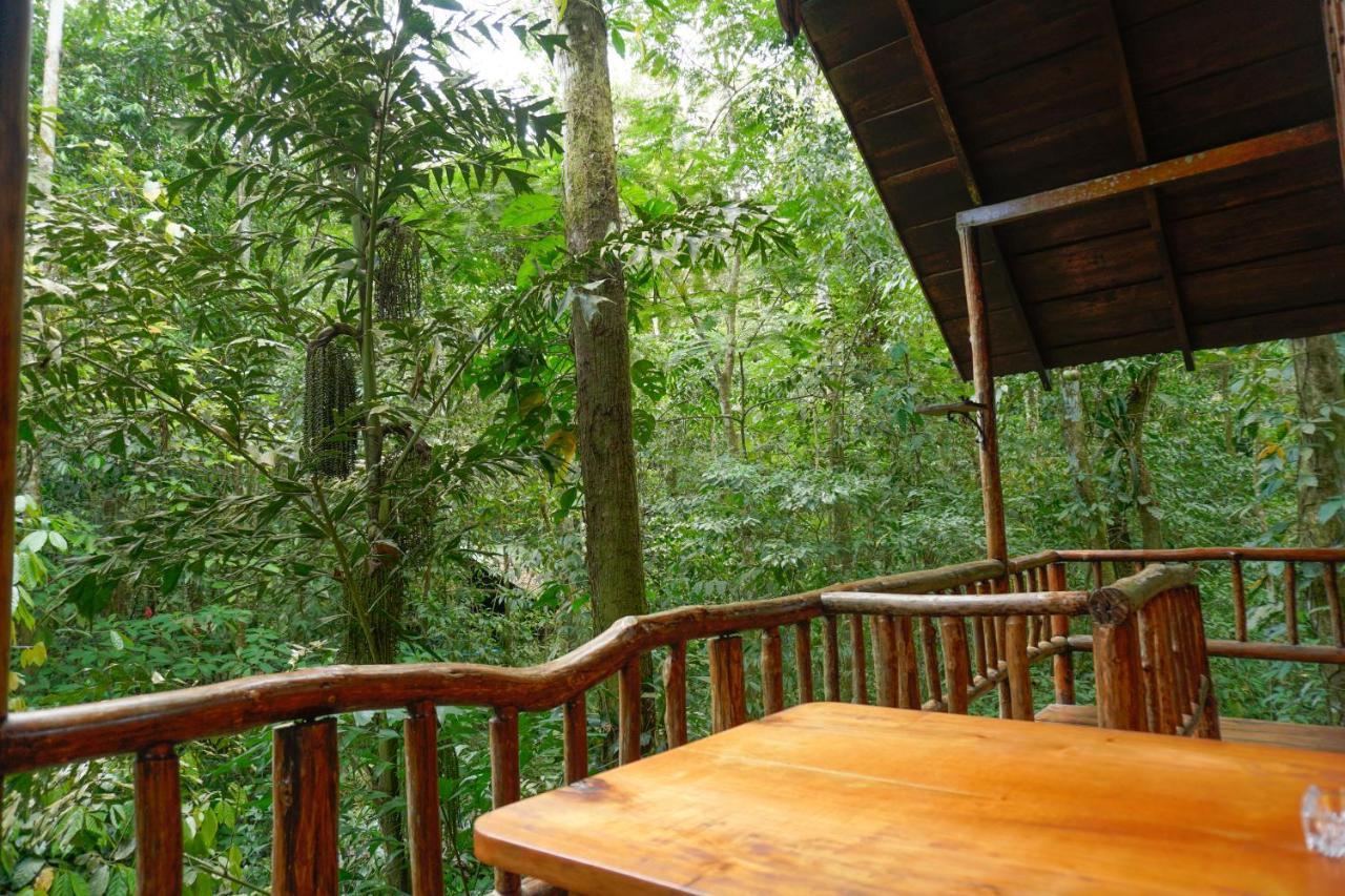 Florencia Tree Houses Hotel Costa Rica מראה חיצוני תמונה