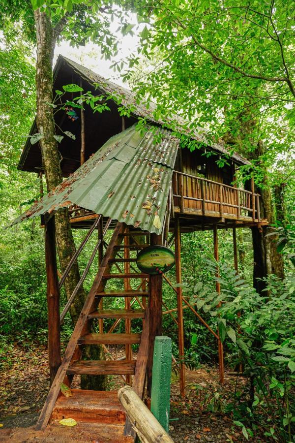 Florencia Tree Houses Hotel Costa Rica מראה חיצוני תמונה