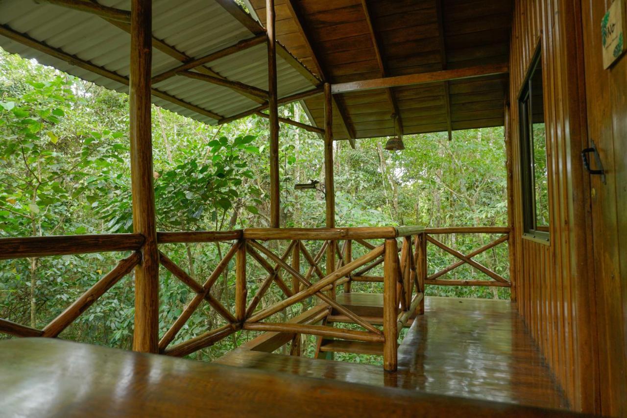 Florencia Tree Houses Hotel Costa Rica מראה חיצוני תמונה