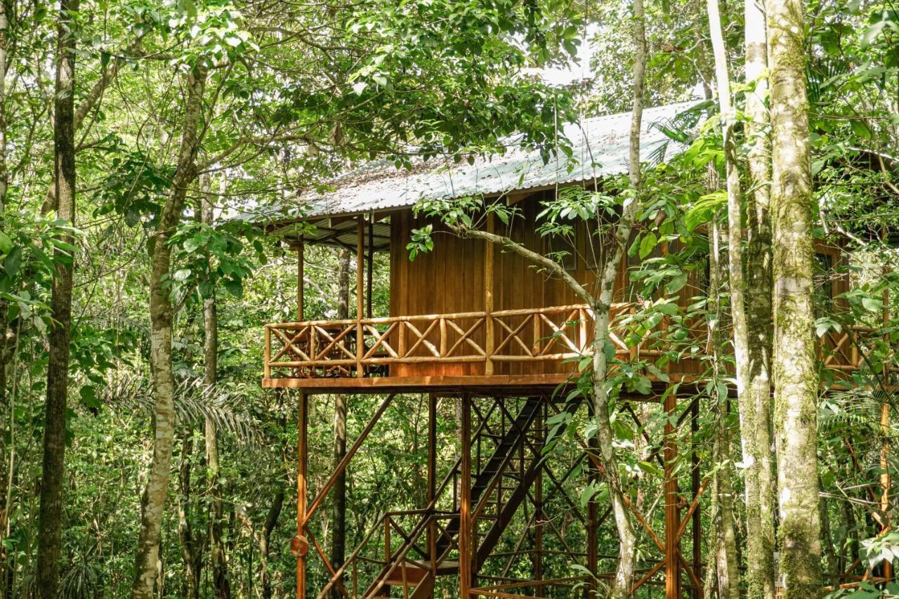 Florencia Tree Houses Hotel Costa Rica מראה חיצוני תמונה