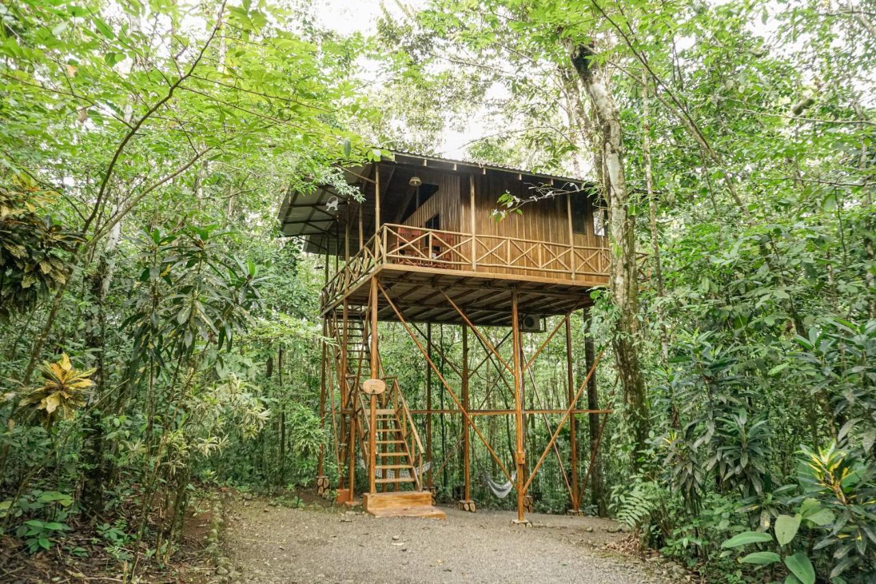 Florencia Tree Houses Hotel Costa Rica מראה חיצוני תמונה