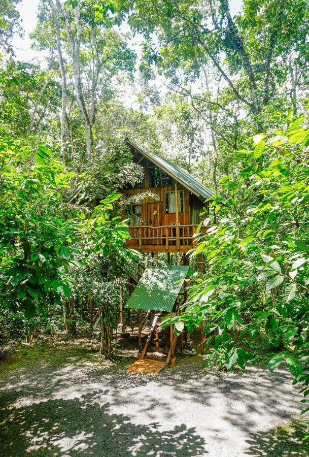 Florencia Tree Houses Hotel Costa Rica מראה חיצוני תמונה