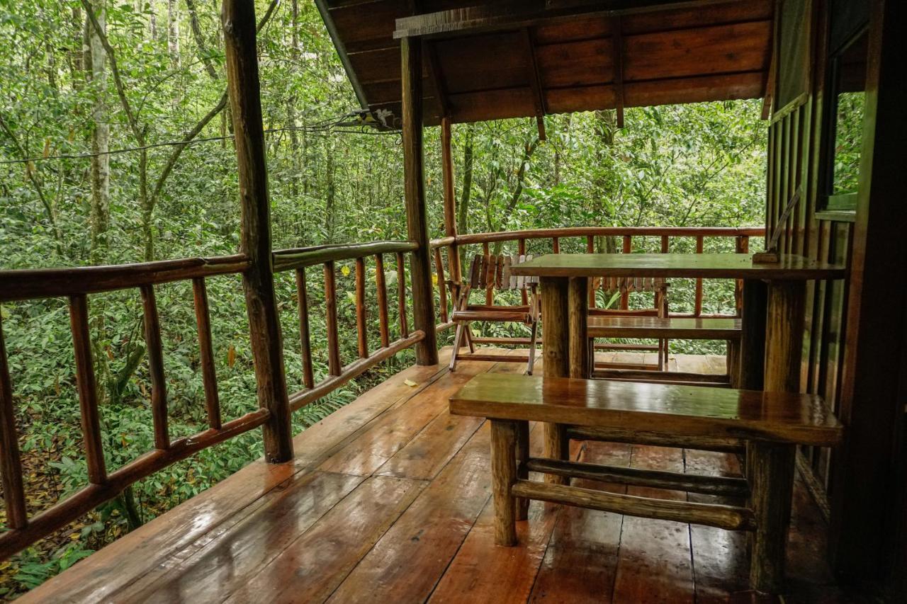 Florencia Tree Houses Hotel Costa Rica מראה חיצוני תמונה
