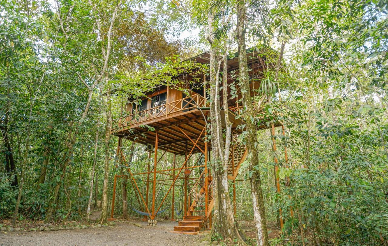 Florencia Tree Houses Hotel Costa Rica מראה חיצוני תמונה
