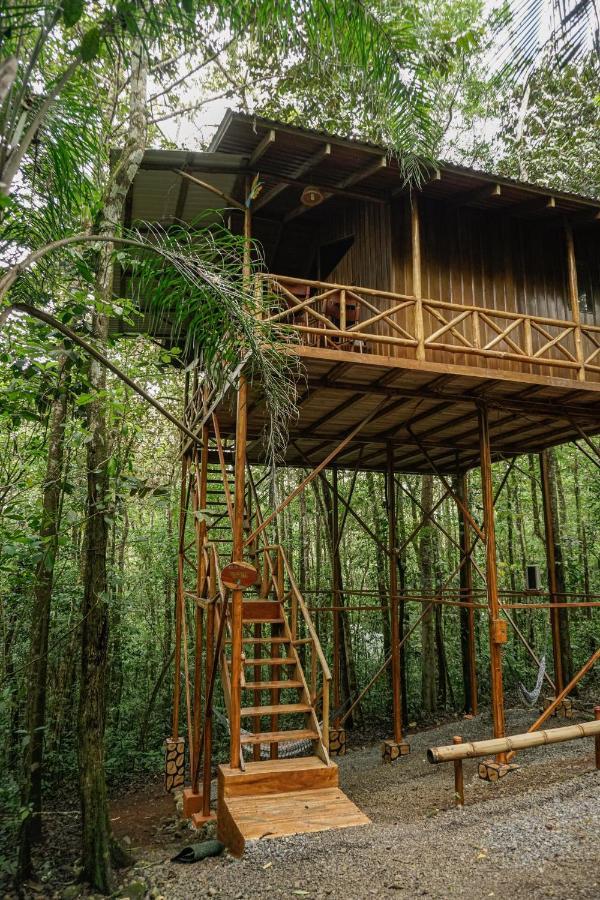 Florencia Tree Houses Hotel Costa Rica מראה חיצוני תמונה