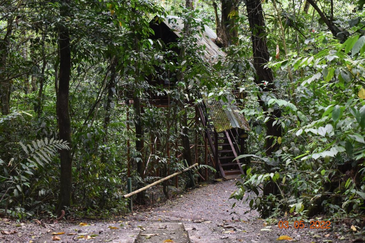Florencia Tree Houses Hotel Costa Rica מראה חיצוני תמונה