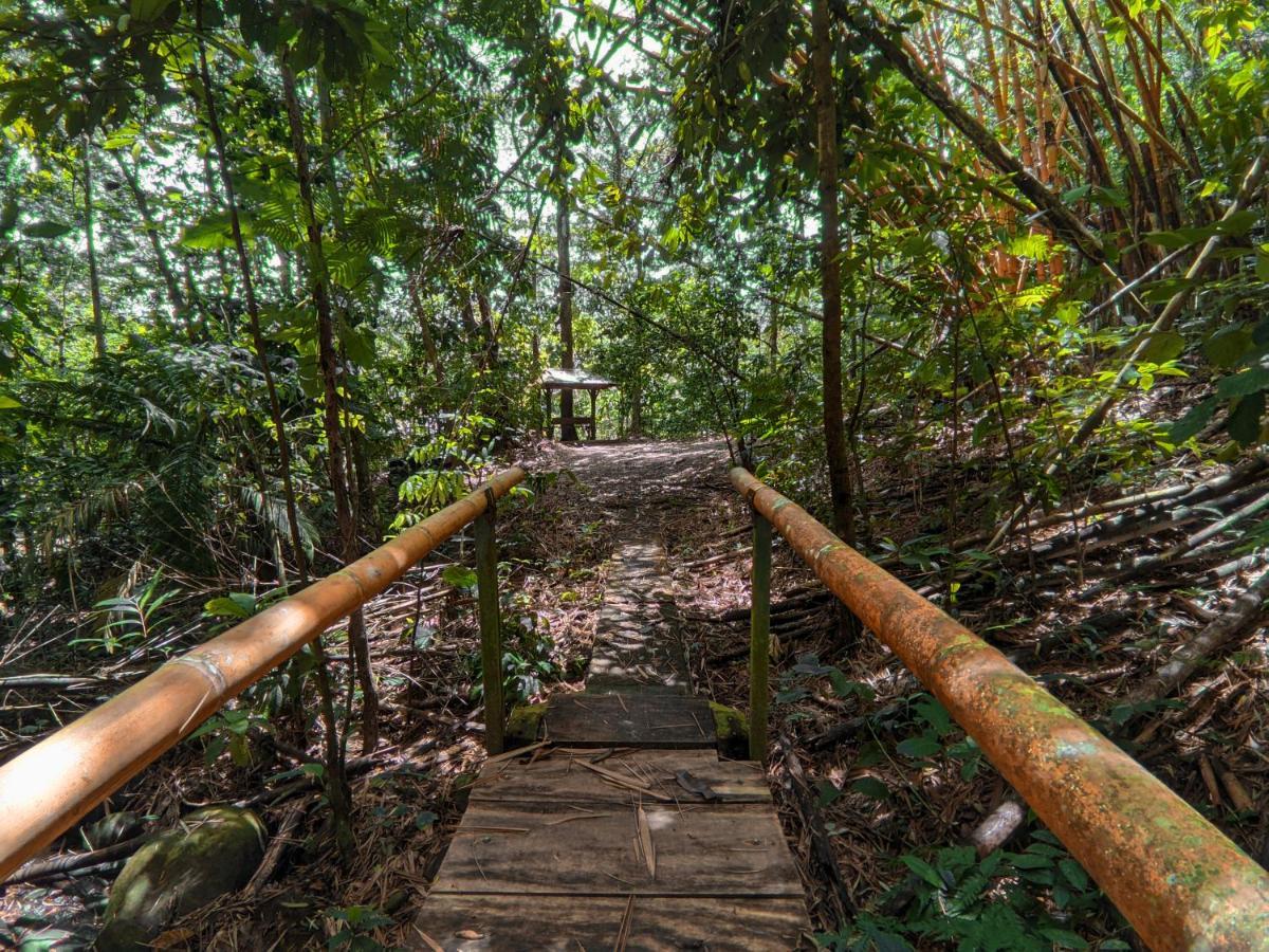 Florencia Tree Houses Hotel Costa Rica מראה חיצוני תמונה