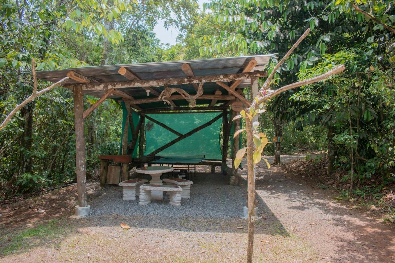 Florencia Tree Houses Hotel Costa Rica מראה חיצוני תמונה